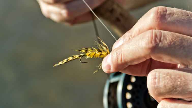 Man tying on a fly to a fly fishing rod