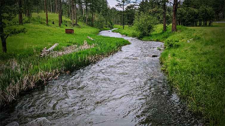 French Creek South Dakota Fly Fishing