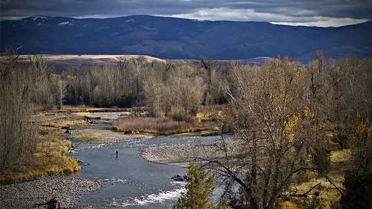 Gallatin River Montana Fly Fishing