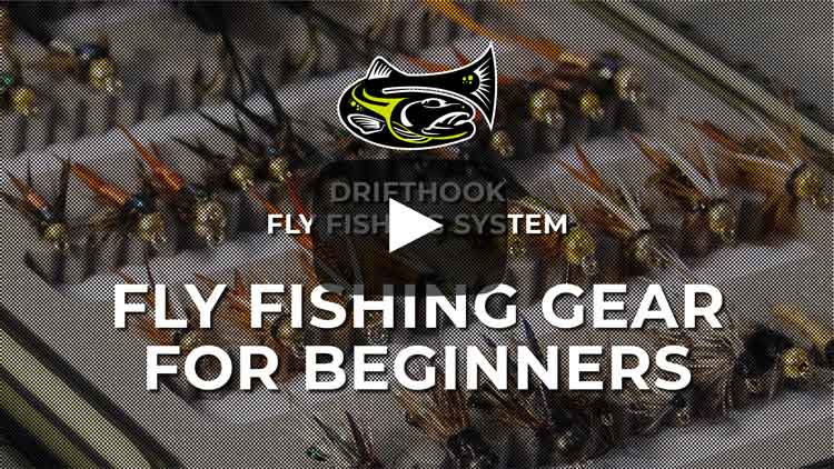 Fly Fishing Gear for Beginners