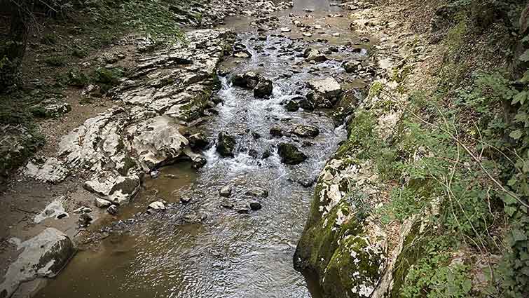 Glovers Creek Iowa Fly Fishing