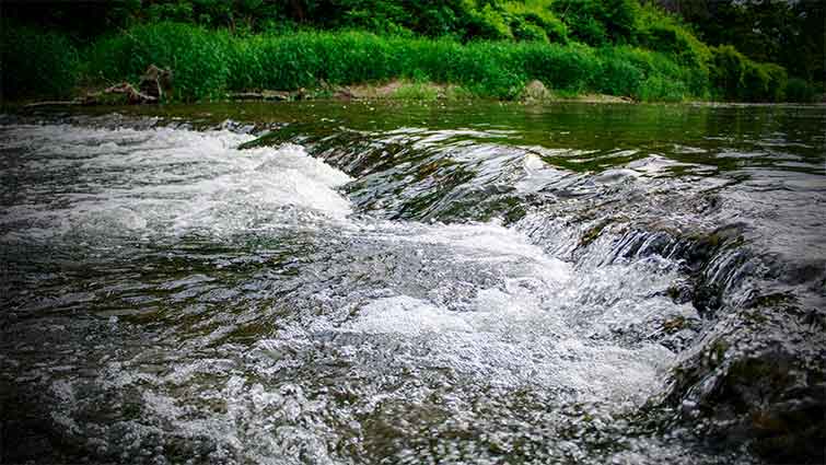 Grace Coolidge Creek South Dakota Fly Fishing