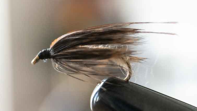 Wet Flies in Fly Fishing - Hooks to Swings
