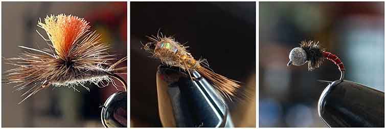Great Basin National Park Nevada Fly Fishing Flies