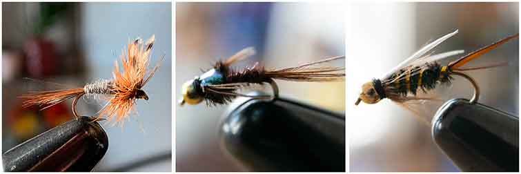 Great Smoky Mountains National Park Tennessee Flies