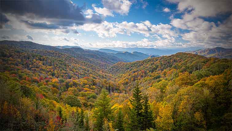 Great Smoky Mountains National Park Tennessee Fly Fishing