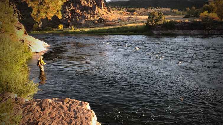 Green River Utah Fly Fishing