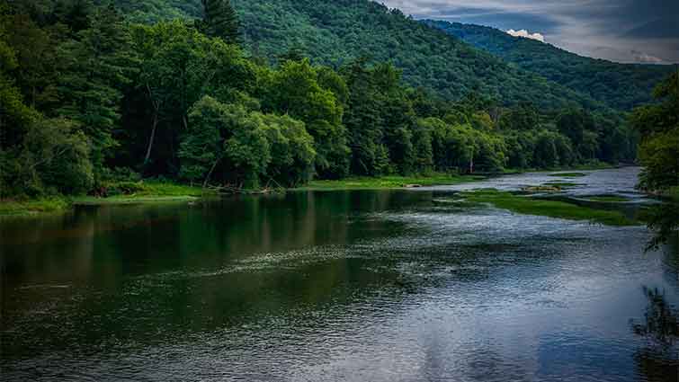 Greenbrier River West Virginia Fly Fishing