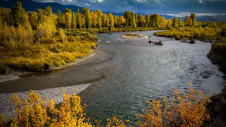 Gros Ventre River Wyoming Fly Fishing