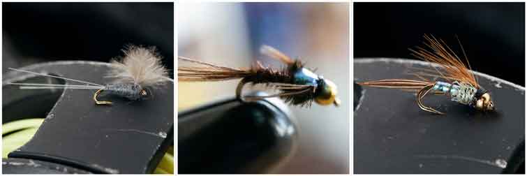 Gunnison River Fly Patterns that Catch Trout