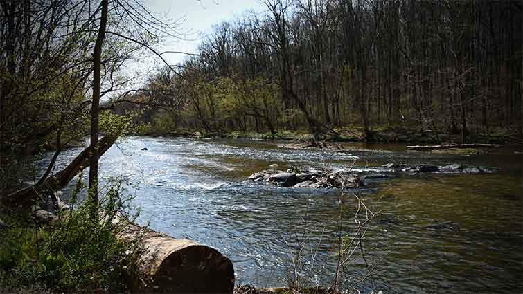 Gunpowder River Maryland Fly Fishing