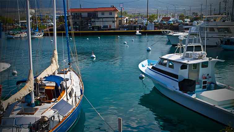 H-harbor Hawaii Fly Fishing