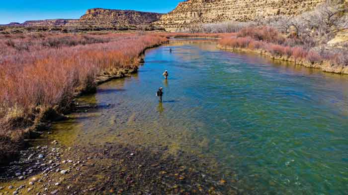 Fly Fisherman in the San Juan River New Mexico