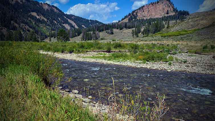 Hoback River Wyoming Fly Fishing