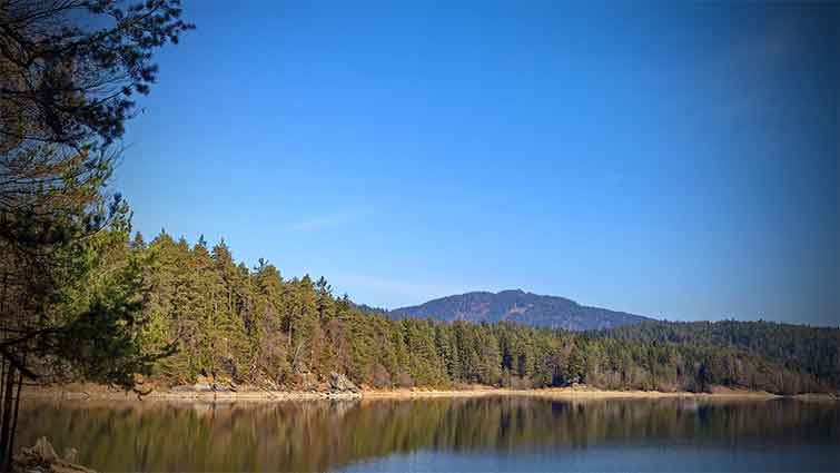 Hobart Creek Reservoir Carson City Nevada Fly Fishing