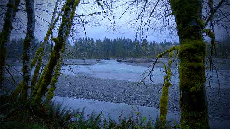 Hoh River Washington Fly Fishing