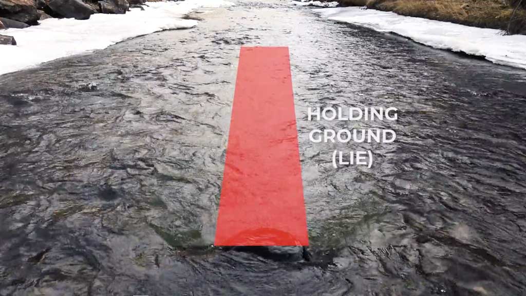 Holding Grounds
