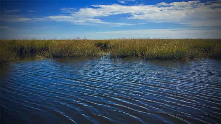 Hopedale (Biloxi Marsh) Louisiana Fly Fishing