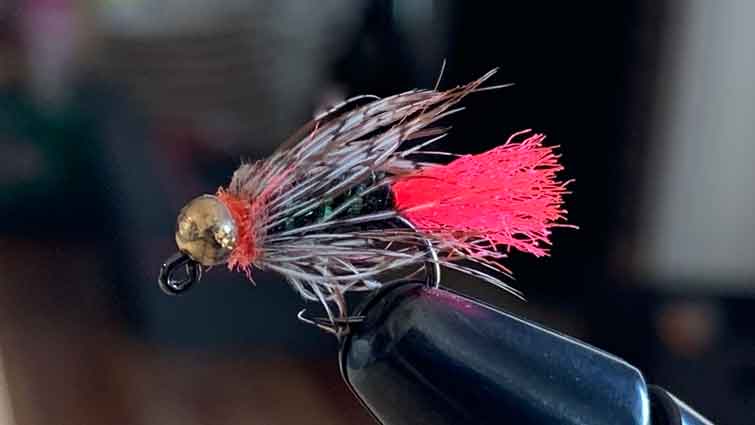 Hot Butt Euro Fly - Trigger point color
