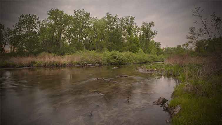 Housatonic River, Lee, MA Massachusetts Fly Fishing