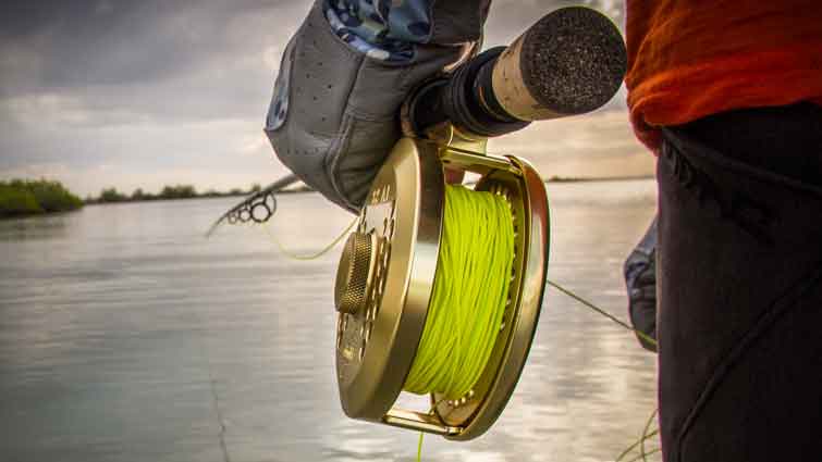 9 Guide Gear Essentials For Salt Water Fly Fishing