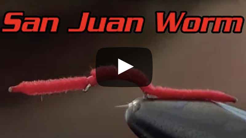 San Juan Worm: What It Is & How To Tie It - Fly Fishing Fix