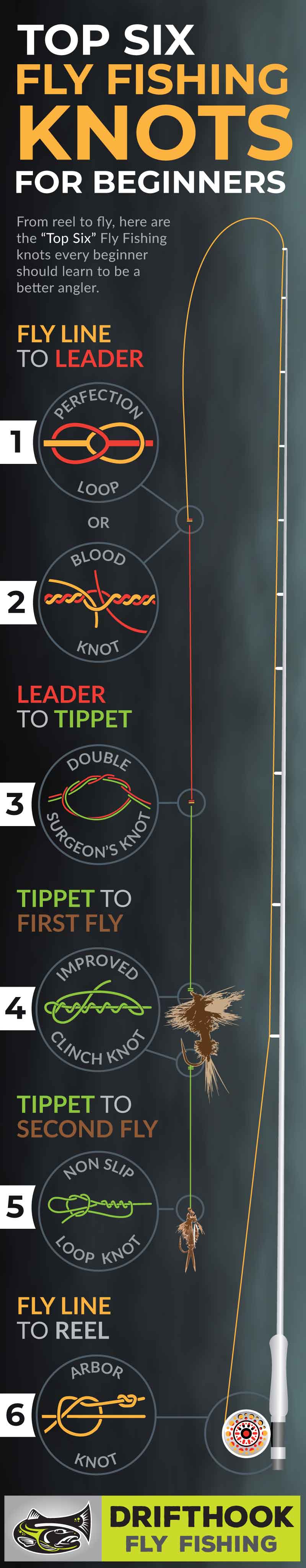 Top Six Fly Fishing Knots for Beginners