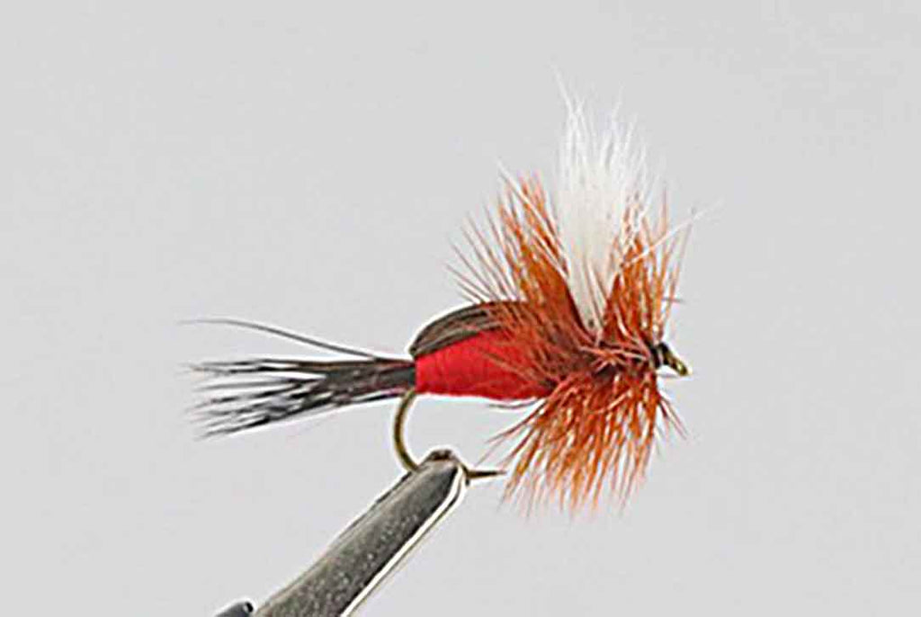 Humpy Royal - Best Fly For August