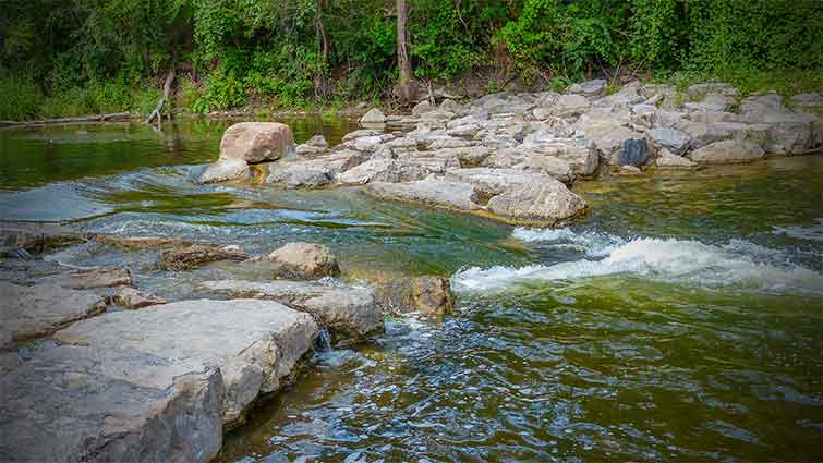 Huron River fly fishing