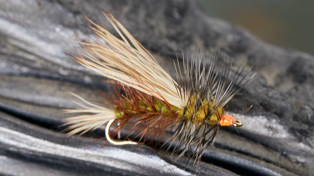 Kaufman Stimulator Dry Fly Pattern for Fly Fishing