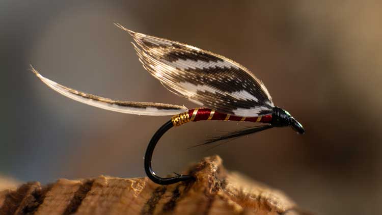 Traditional Wet Fly Pattern