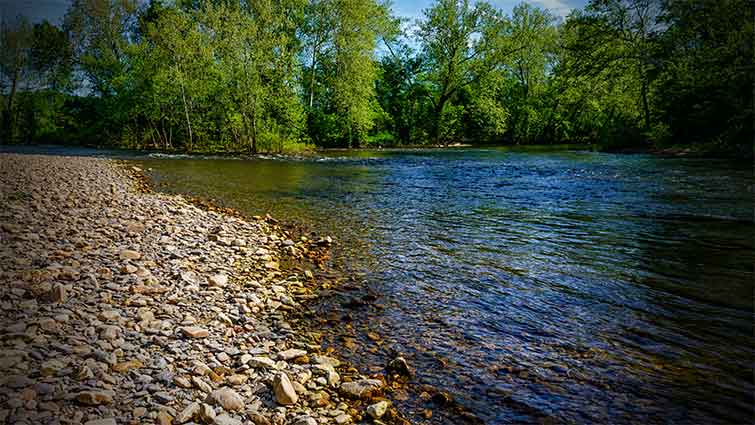 Jackson River Tailwater Virginia