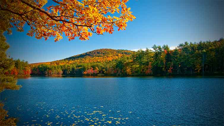 Job’s Pond Vermont Fly Fishing