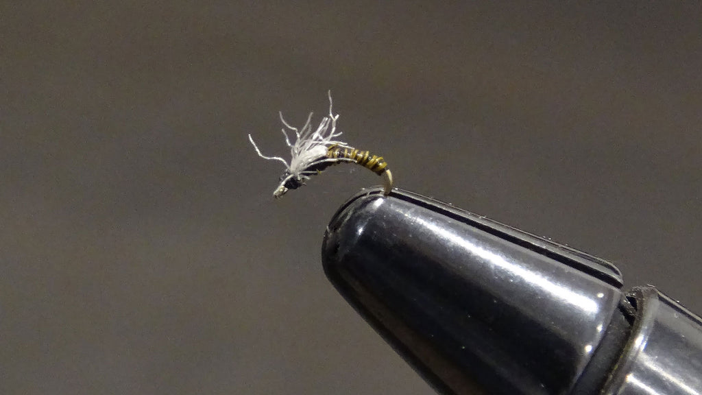 Juju Bee Fly Fishing Fly