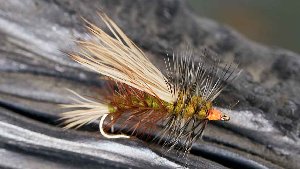 15 Best Trout Flies for July