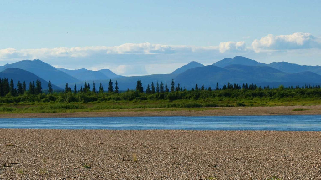 Kobuk River, Alaska