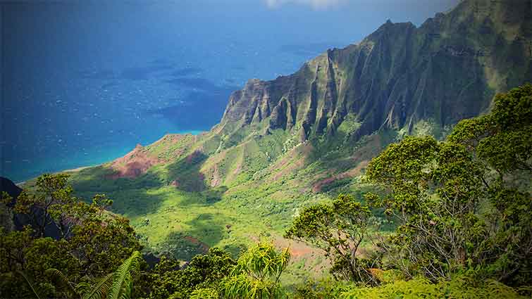 Kokee State Park Hawaii