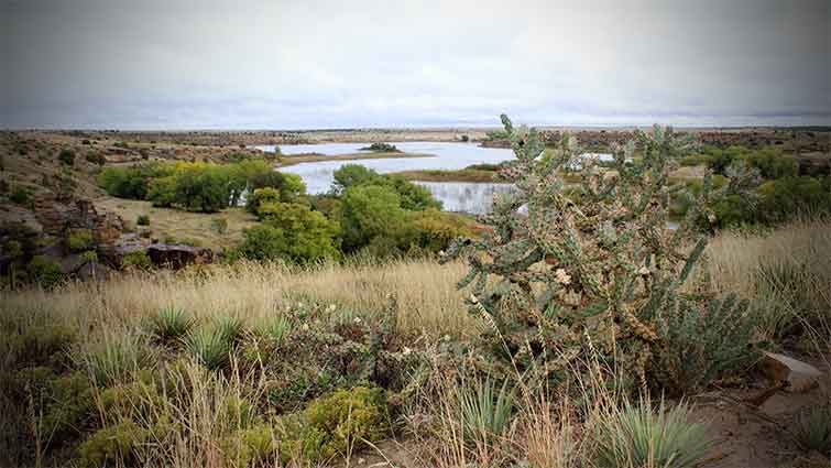 Lake Carl Etling Oklahoma Fly Fishing