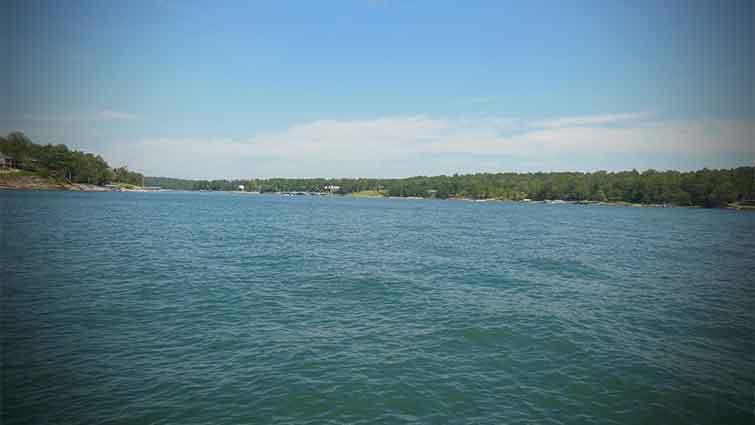 Lake Lewis Smith Dam Alabama Fly Fishing