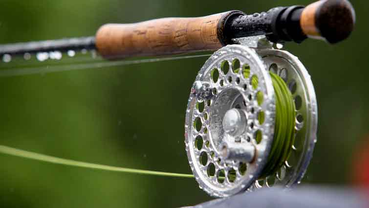Fly Fishing for Bass - Essential Tips & Tricks