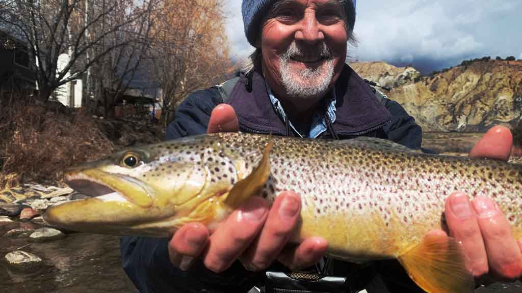 Best Time To Fly Fish For Trout - Full Calendar Guide