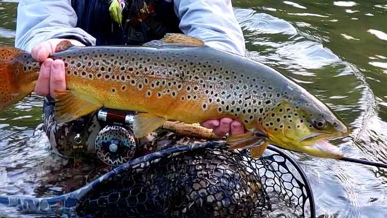 Fly Fishing Season in the US - Trout to Tarpon