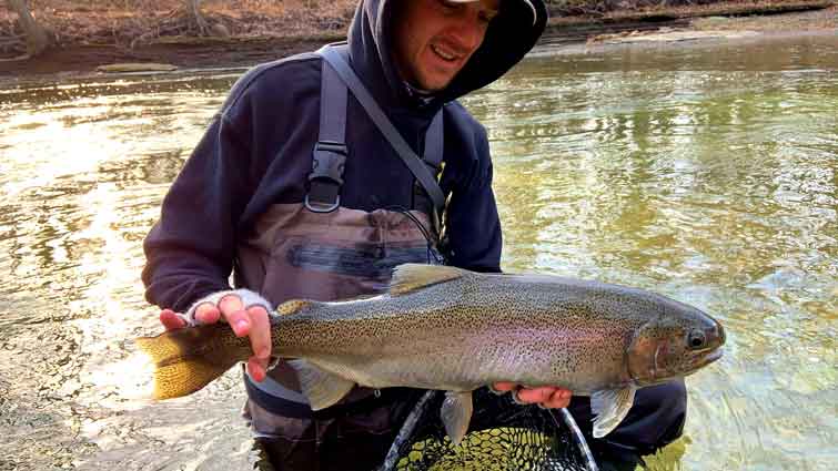 Large steelhead caught in river by man in waders