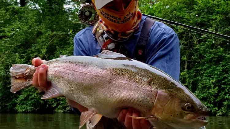 Large Trout caught on Streamer