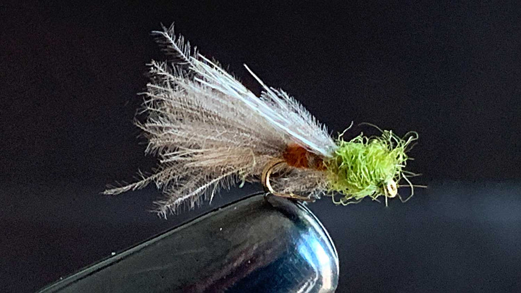 15 of the Best Trout Flies for Lakes