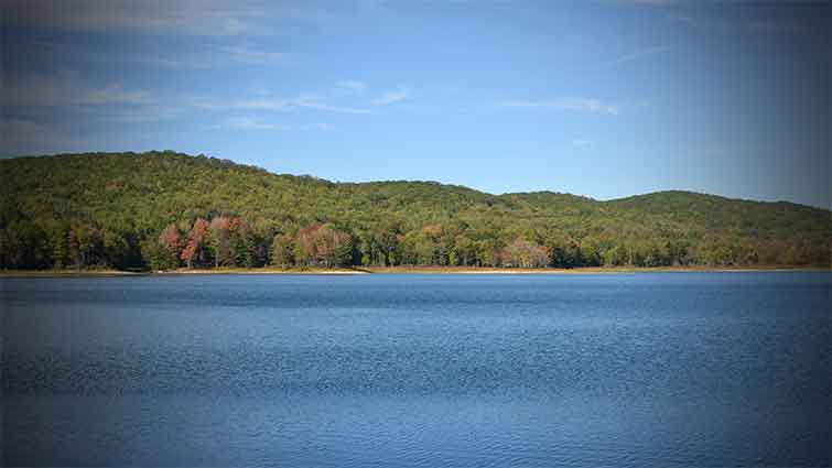 Laural Bed Lake Clinch Mountain Virginia