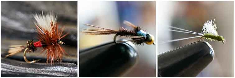 Laurel Creek Kentucky  Fly Fishing Fly Fishing Flies
