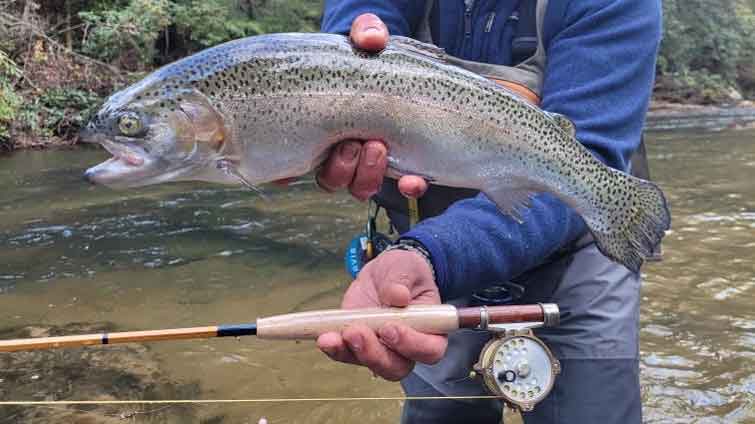 Dry Fly Fishing Gear for Guide Like Success