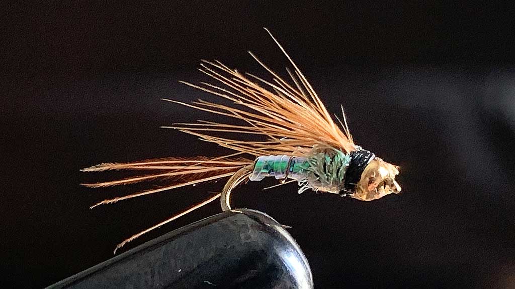 Fly Fishing Flies for Stocked Trout