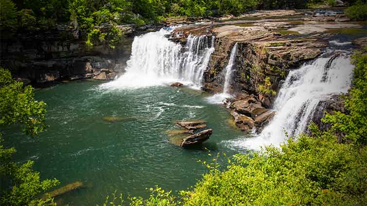 Little River Management Area Alabama Fly Fishing